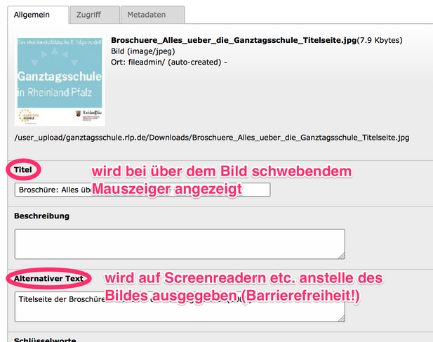 Screenshot: Pflichtfelder Titel und Alternativtext markiert